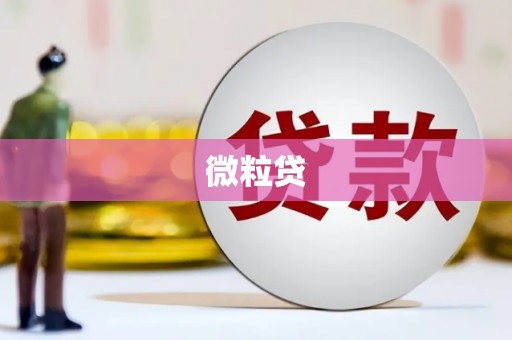 褒忠微粒贷