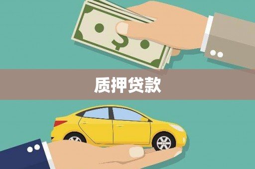 褒忠质押贷款