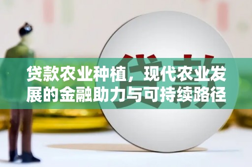 褒忠贷款农业种植，现代农业发展的金融助力与可持续路径