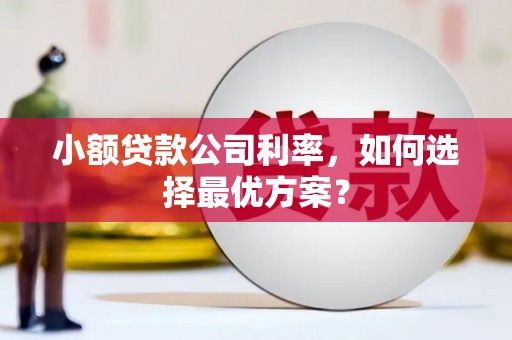 褒忠小额贷款公司利率，如何选择最优方案？