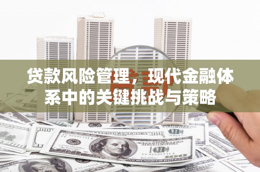 褒忠贷款风险管理，现代金融体系中的关键挑战与策略