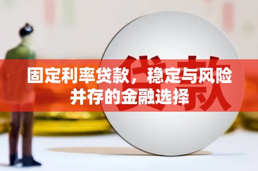 褒忠固定利率贷款，稳定与风险并存的金融选择