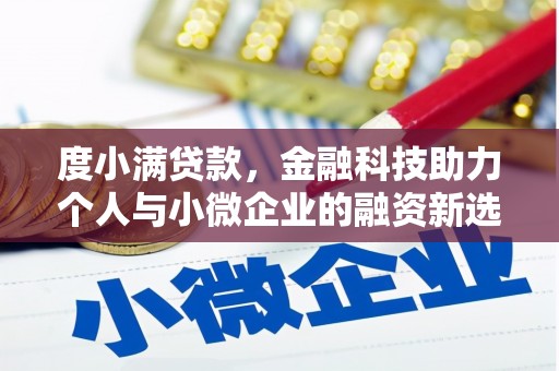 褒忠度小满贷款，金融科技助力个人与小微企业的融资新选择