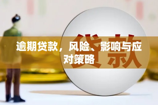 褒忠逾期贷款，风险、影响与应对策略