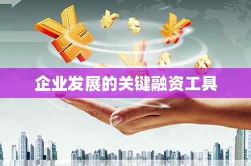 褒忠企业发展的关键融资工具