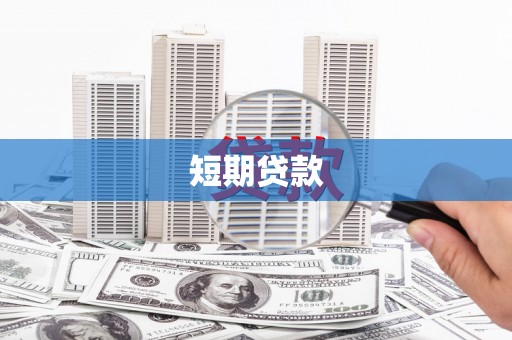 褒忠短期贷款