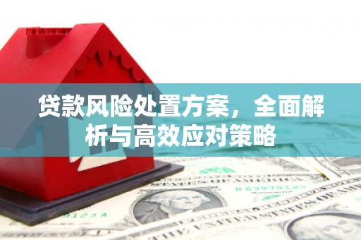 褒忠贷款风险处置方案，全面解析与高效应对策略