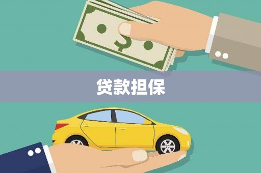 褒忠贷款担保