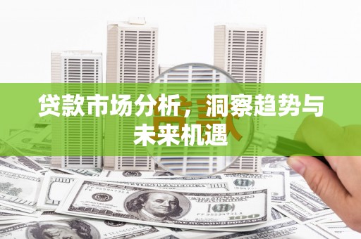 褒忠贷款市场分析，洞察趋势与未来机遇
