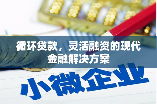 褒忠循环贷款，灵活融资的现代金融解决方案