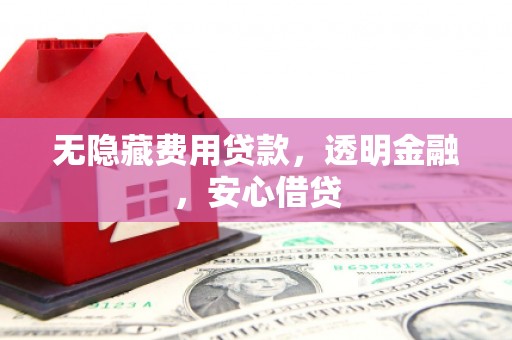 褒忠无隐藏费用贷款，透明金融，安心借贷