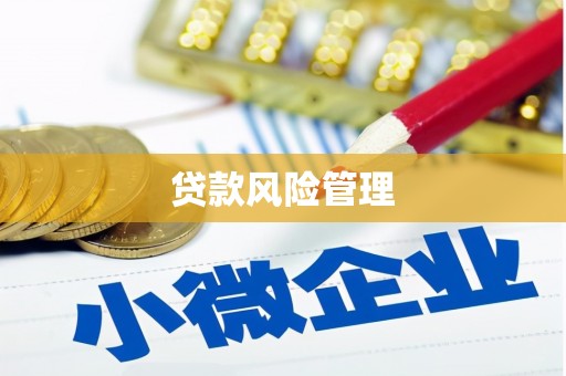 褒忠贷款风险管理