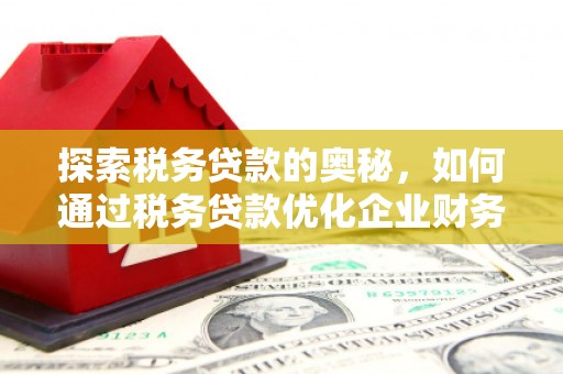 褒忠探索税务贷款的奥秘，如何通过税务贷款优化企业财务