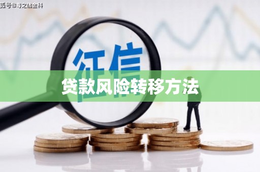 褒忠贷款风险转移方法