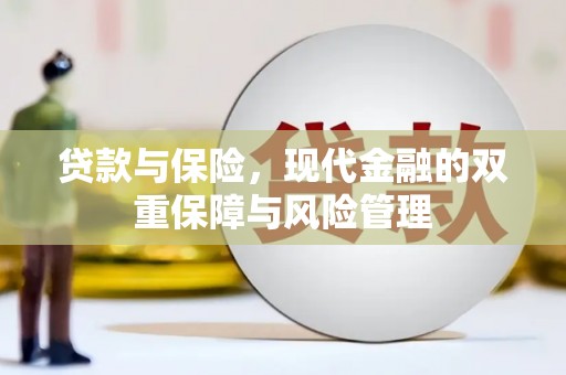 褒忠贷款与保险，现代金融的双重保障与风险管理