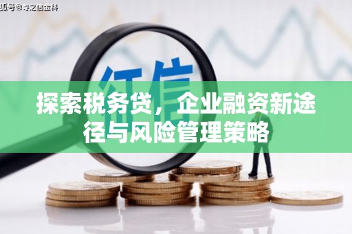 褒忠探索税务贷，企业融资新途径与风险管理策略