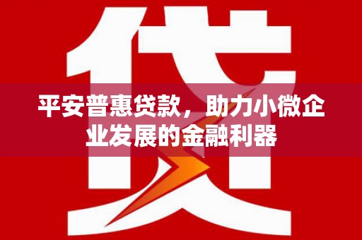 褒忠平安普惠贷款，助力小微企业发展的金融利器