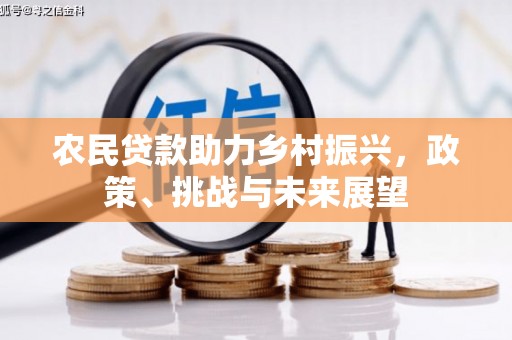 褒忠农民贷款助力乡村振兴，政策、挑战与未来展望