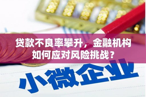 褒忠贷款不良率攀升，金融机构如何应对风险挑战？