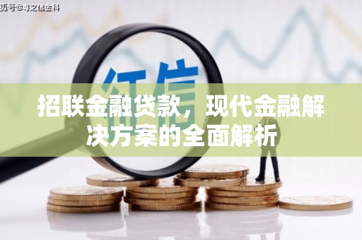 褒忠招联金融贷款，现代金融解决方案的全面解析