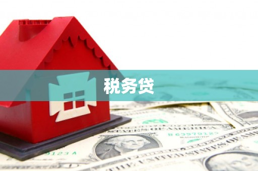 褒忠税务贷