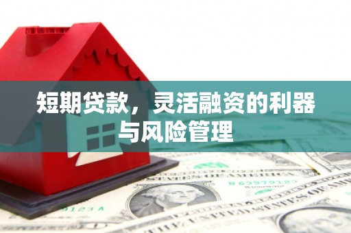 褒忠短期贷款，灵活融资的利器与风险管理