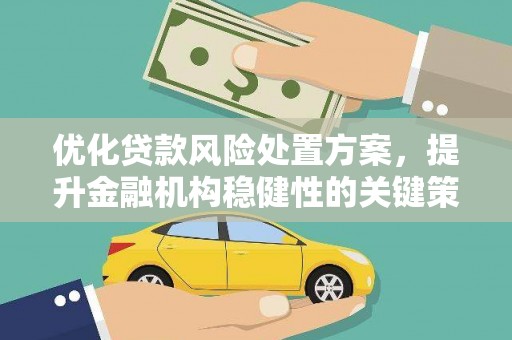 褒忠优化贷款风险处置方案，提升金融机构稳健性的关键策略