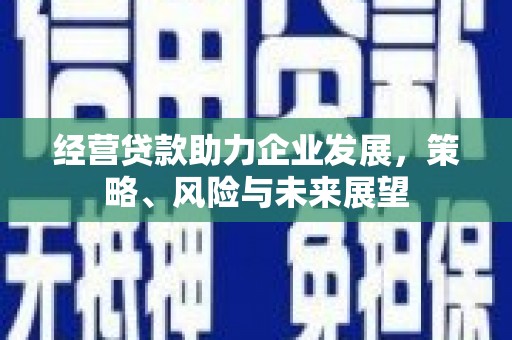 褒忠经营贷款助力企业发展，策略、风险与未来展望