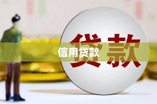 褒忠信用贷款
