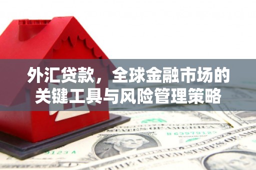 褒忠外汇贷款，全球金融市场的关键工具与风险管理策略