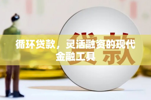 褒忠循环贷款，灵活融资的现代金融工具