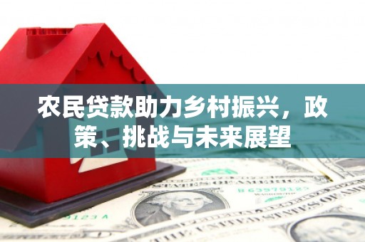 褒忠农民贷款助力乡村振兴，政策、挑战与未来展望