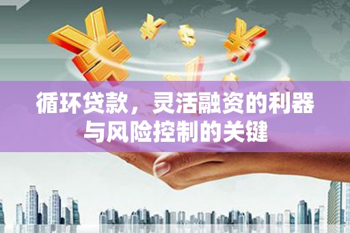 褒忠循环贷款，灵活融资的利器与风险控制的关键