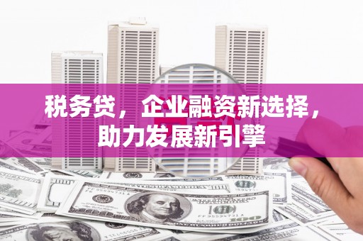 褒忠税务贷，企业融资新选择，助力发展新引擎