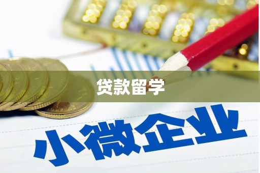 褒忠贷款留学
