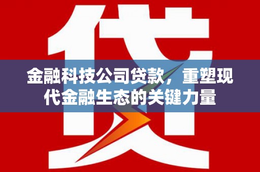 褒忠金融科技公司贷款，重塑现代金融生态的关键力量