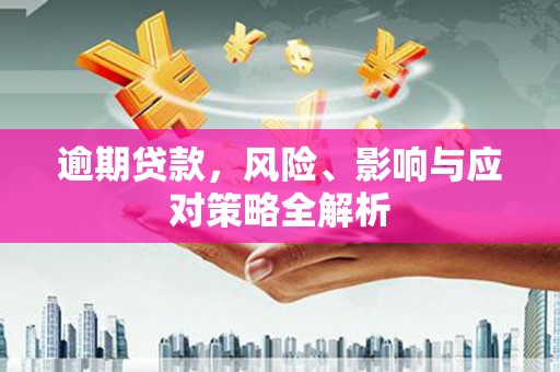 褒忠逾期贷款，风险、影响与应对策略全解析