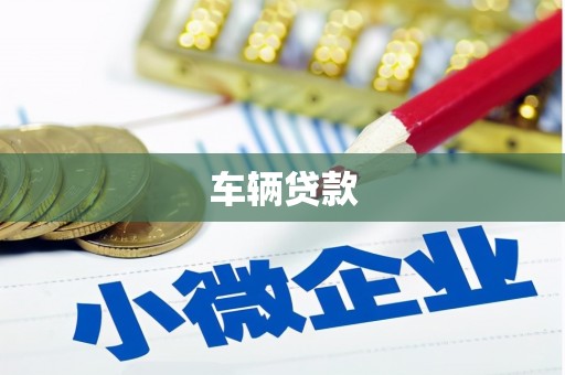 褒忠车辆贷款