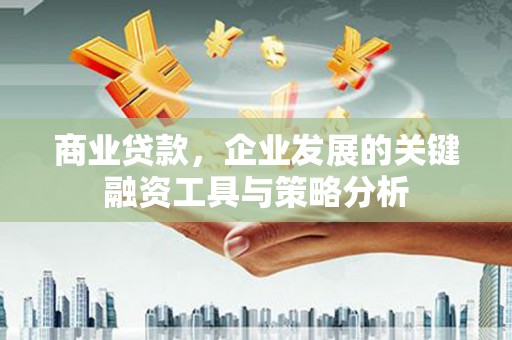 褒忠商业贷款，企业发展的关键融资工具与策略分析