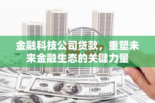 褒忠金融科技公司贷款，重塑未来金融生态的关键力量