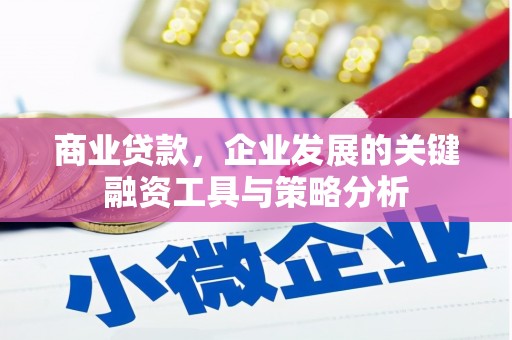 褒忠商业贷款，企业发展的关键融资工具与策略分析