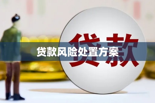 褒忠贷款风险处置方案
