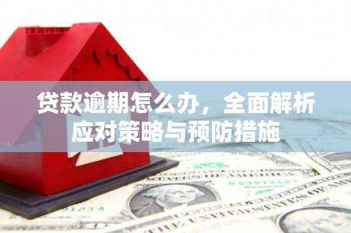 褒忠贷款逾期怎么办，全面解析应对策略与预防措施