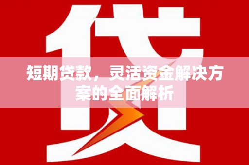 褒忠短期贷款，灵活资金解决方案的全面解析