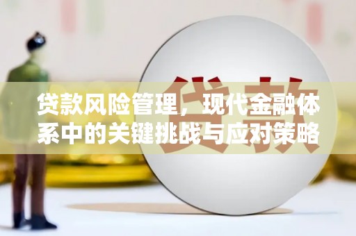 褒忠贷款风险管理，现代金融体系中的关键挑战与应对策略
