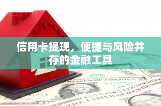 褒忠信用卡提现，便捷与风险并存的金融工具