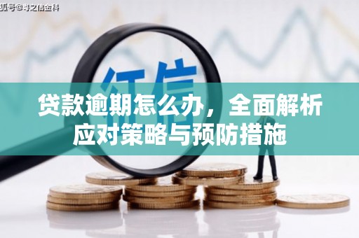褒忠贷款逾期怎么办，全面解析应对策略与预防措施