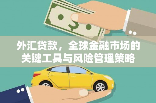 褒忠外汇贷款，全球金融市场的关键工具与风险管理策略