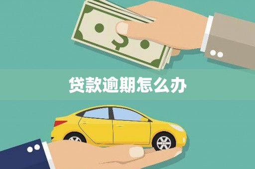 褒忠贷款逾期怎么办