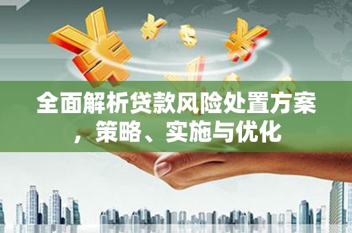 褒忠全面解析贷款风险处置方案，策略、实施与优化